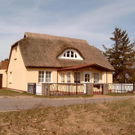 Ferienhaeuschen Villa บอร์น ภายนอก รูปภาพ