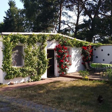 Ferienhaeuschen Villa บอร์น ภายนอก รูปภาพ