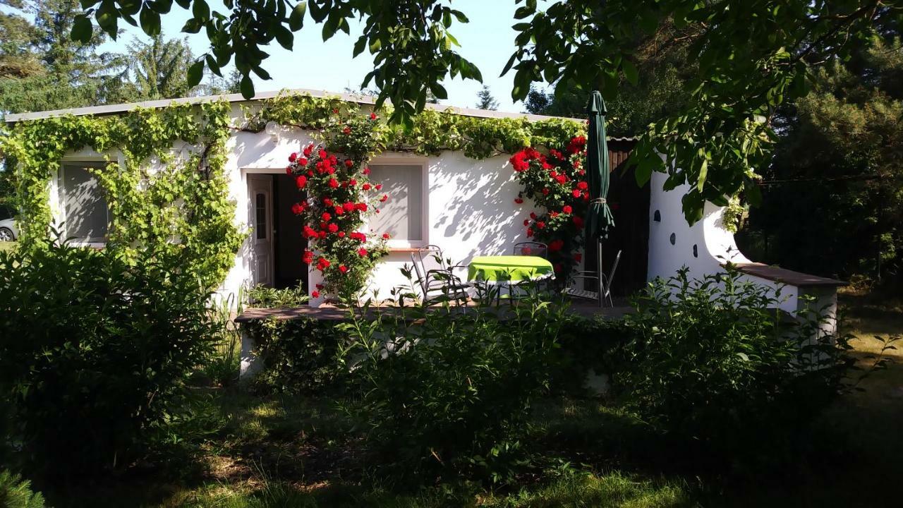 Ferienhaeuschen Villa บอร์น ภายนอก รูปภาพ