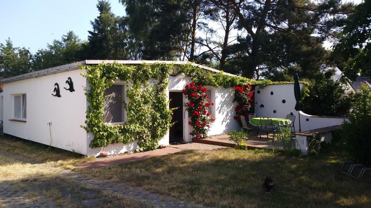 Ferienhaeuschen Villa บอร์น ภายนอก รูปภาพ