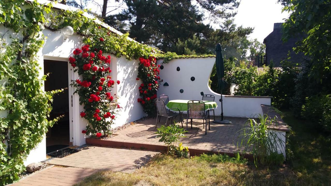 Ferienhaeuschen Villa บอร์น ภายนอก รูปภาพ